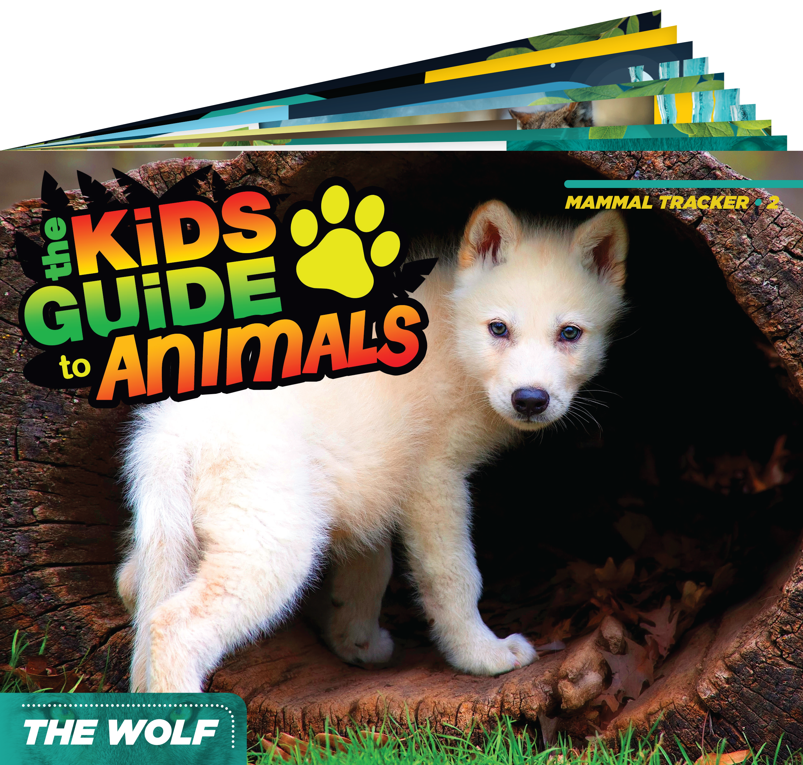 The Kids Guide to Animals - The Wolf