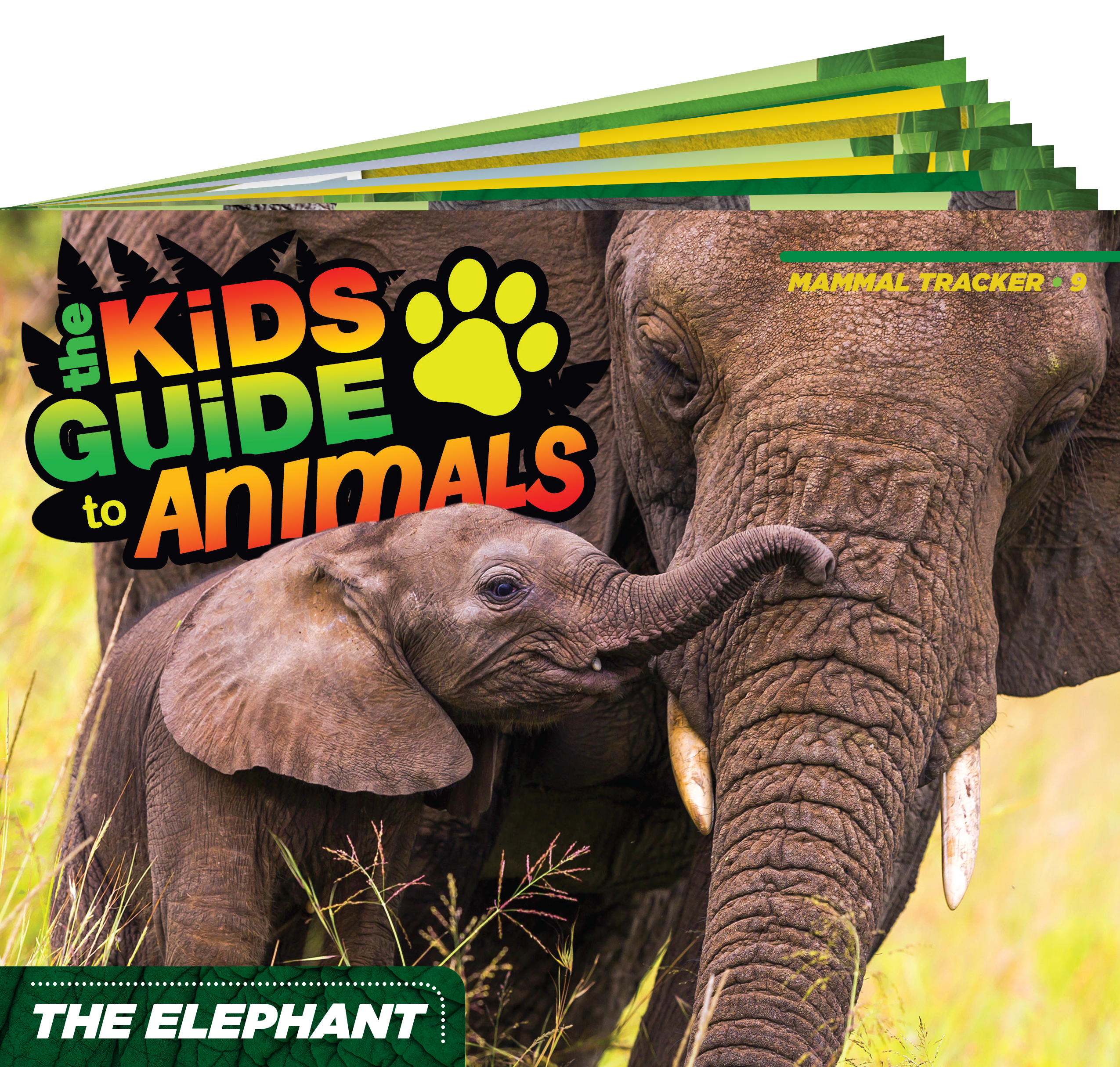 The Kids Guide to Animals - The Elephant