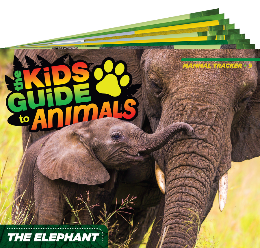 The Kids Guide to Animals - The Elephant