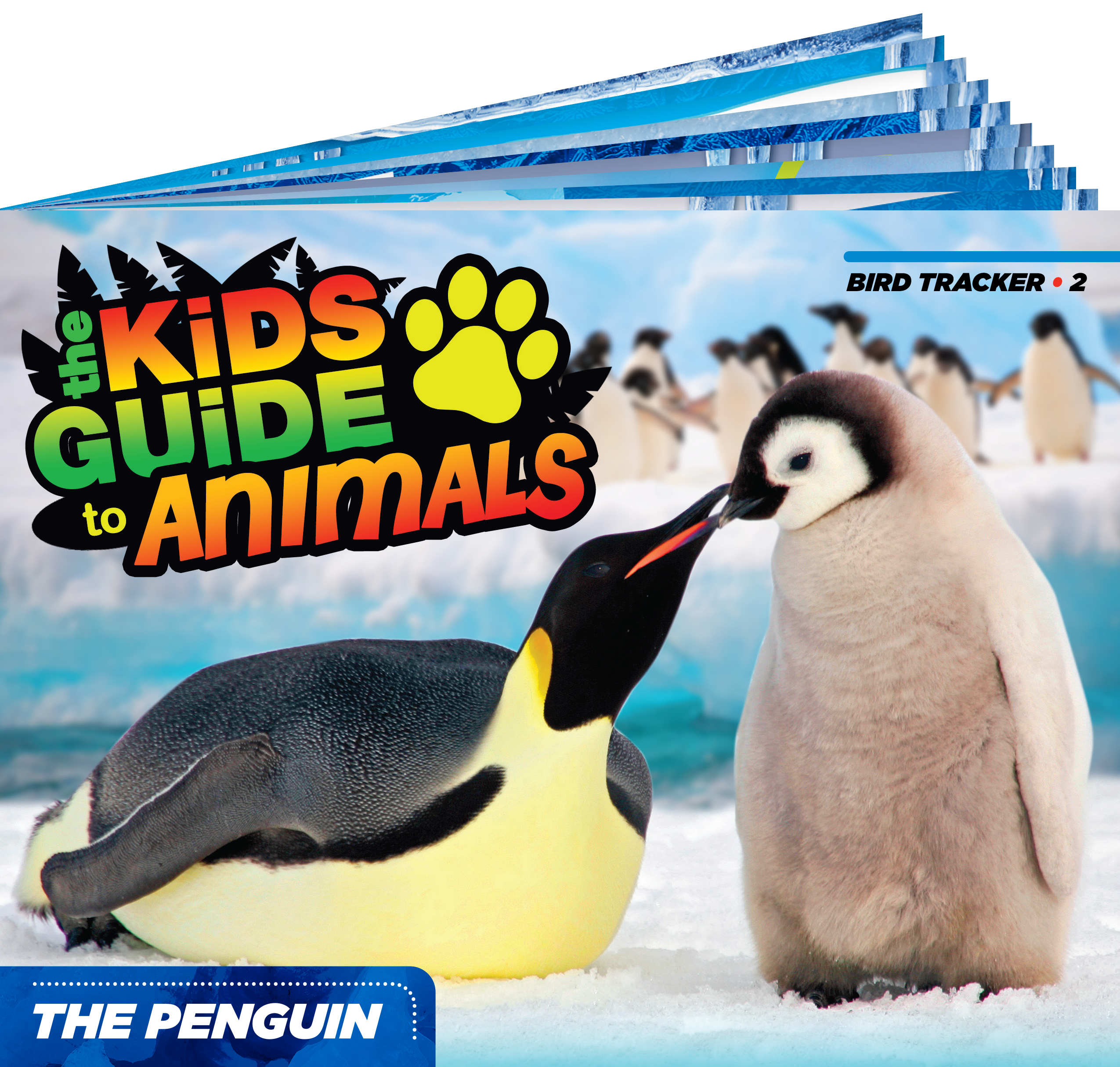 The Kids Guide to Animals - The Penguin
