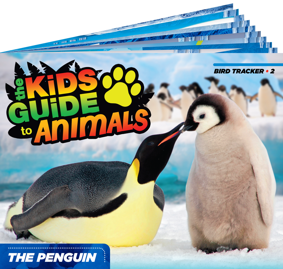 The Kids Guide to Animals - The Penguin