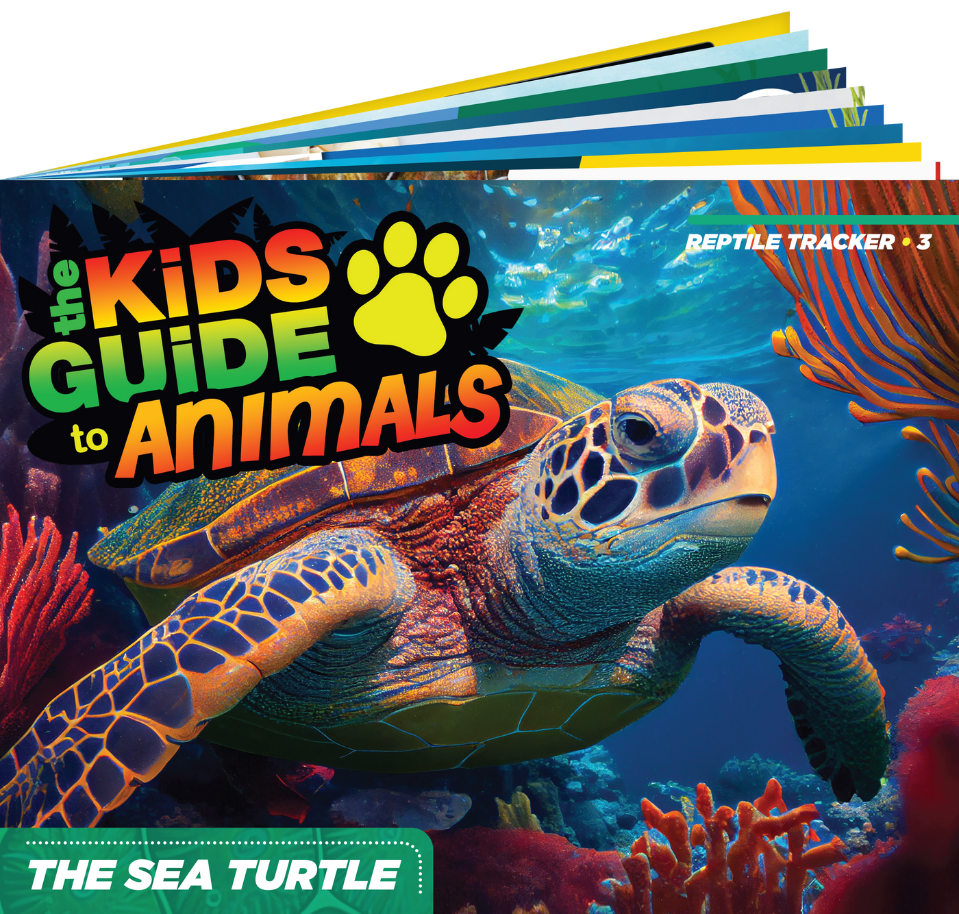 The Kids Guide to Animals - The Sea Turtle