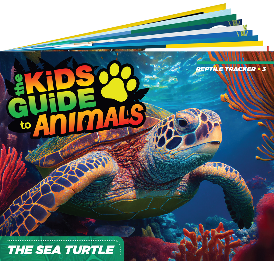 The Kids Guide to Animals - The Sea Turtle