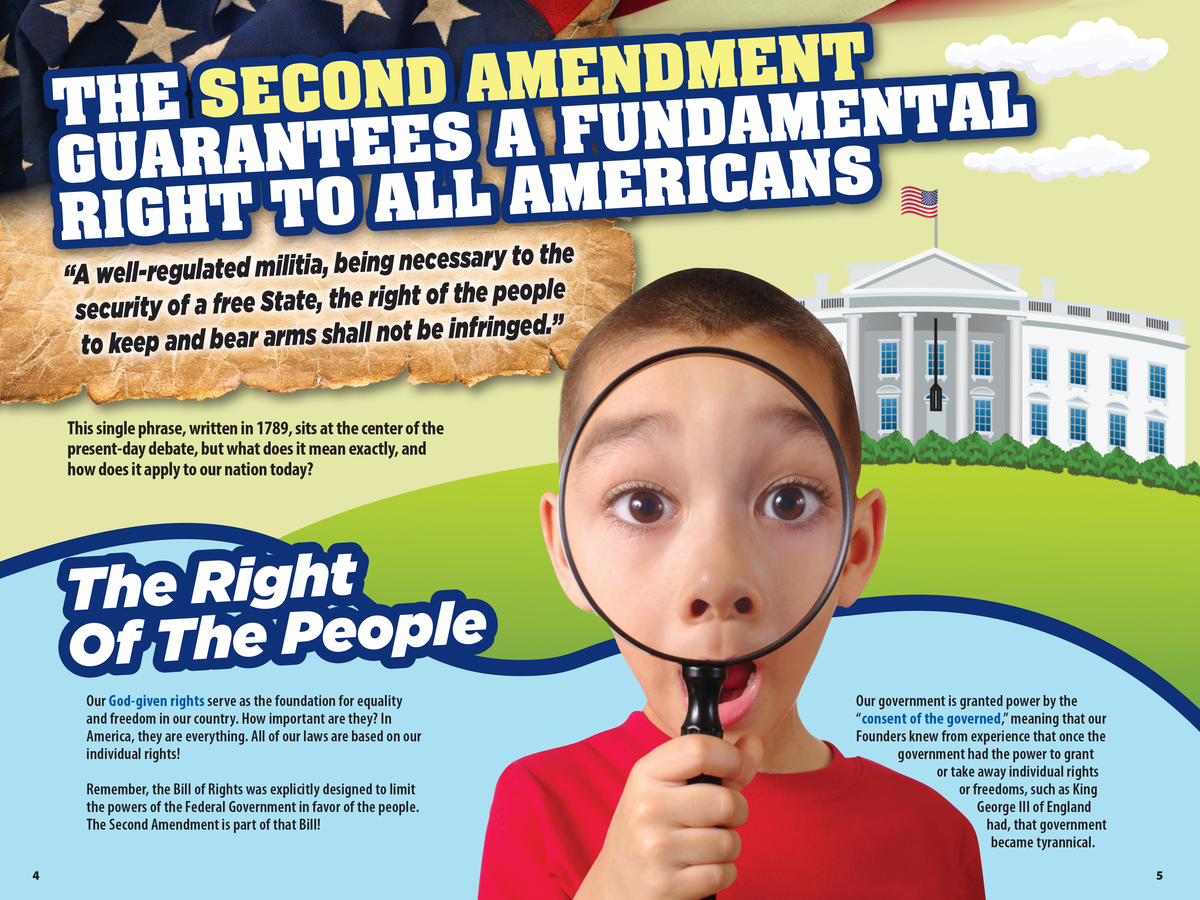 Graph About Second Amendment The Kids Guide to The Second Amendment · The Kids Guide