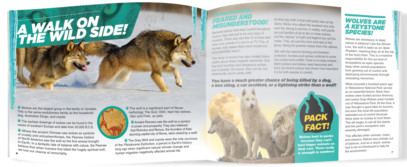 The Kids Guide to Animals - The Wolf