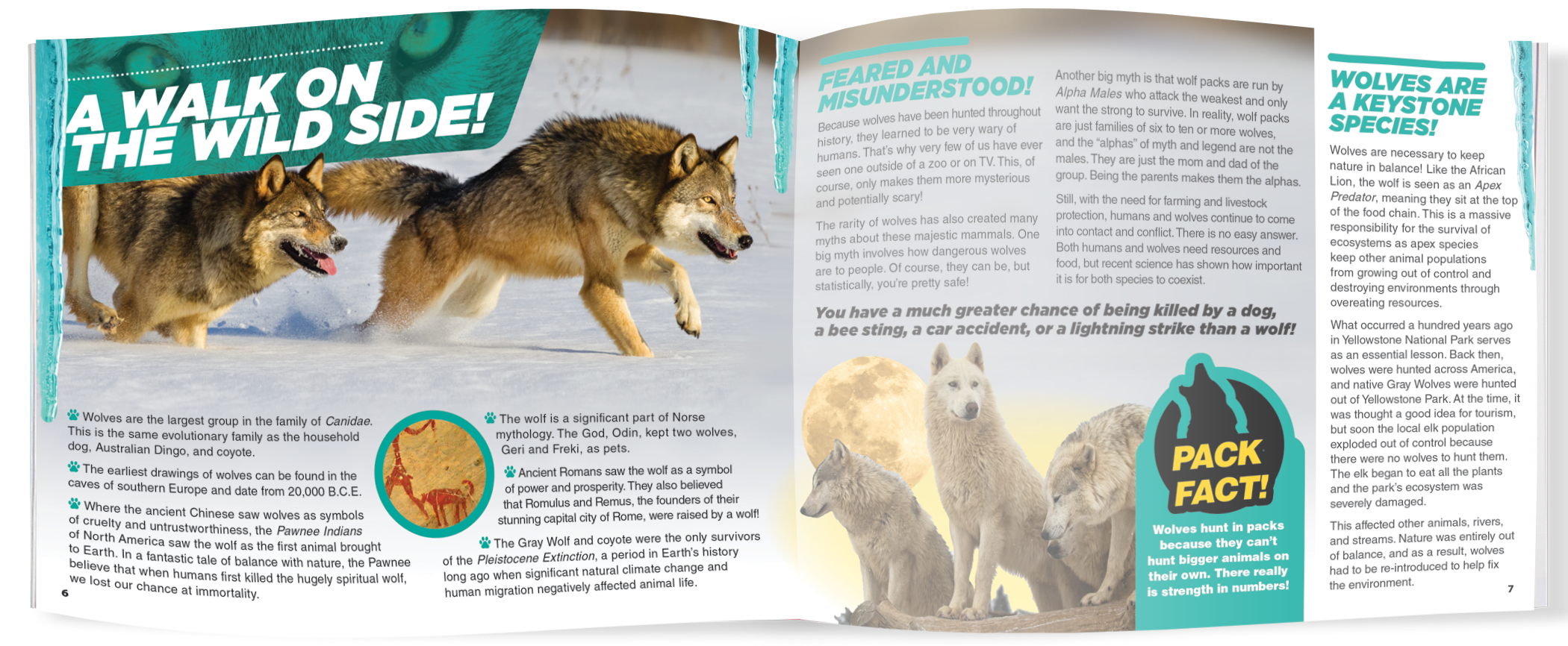 The Kids Guide to Animals - The Wolf