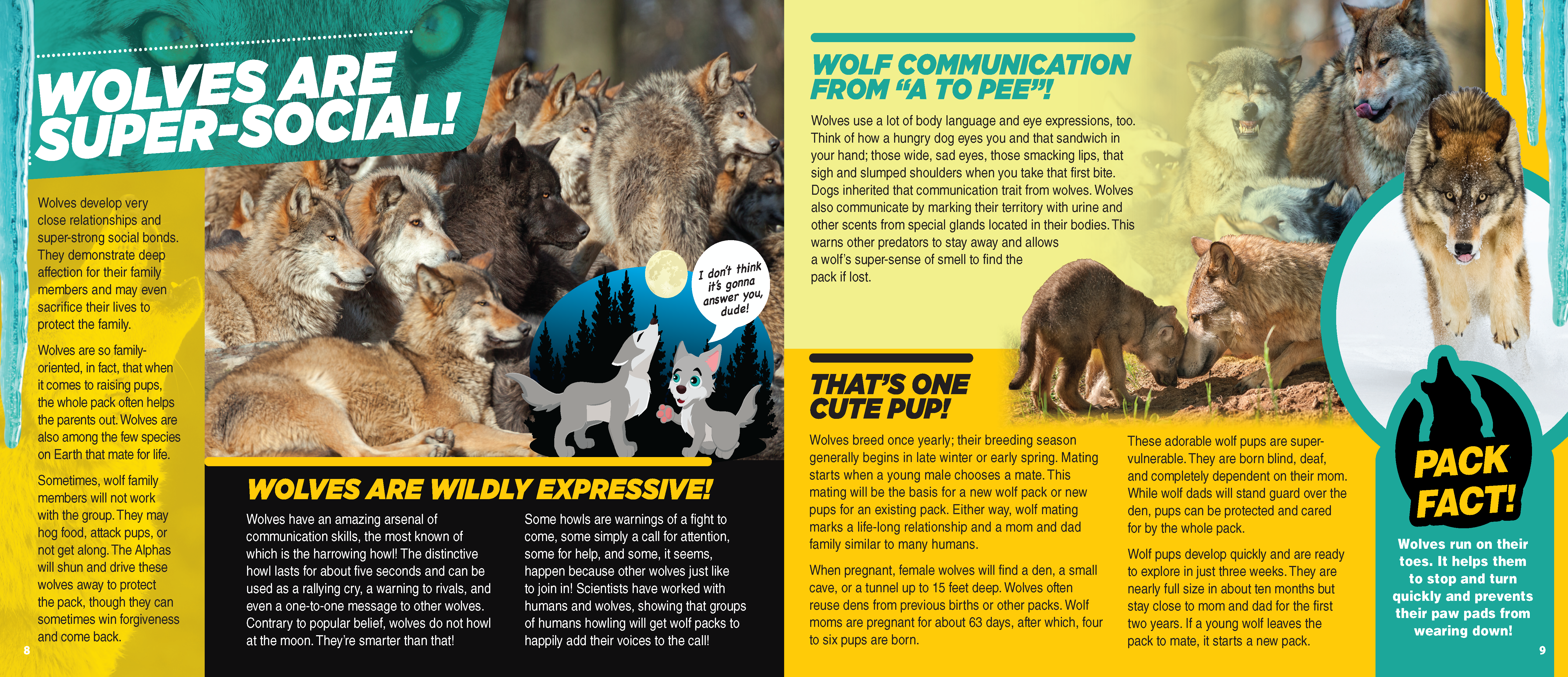The Kids Guide to Animals - The Wolf