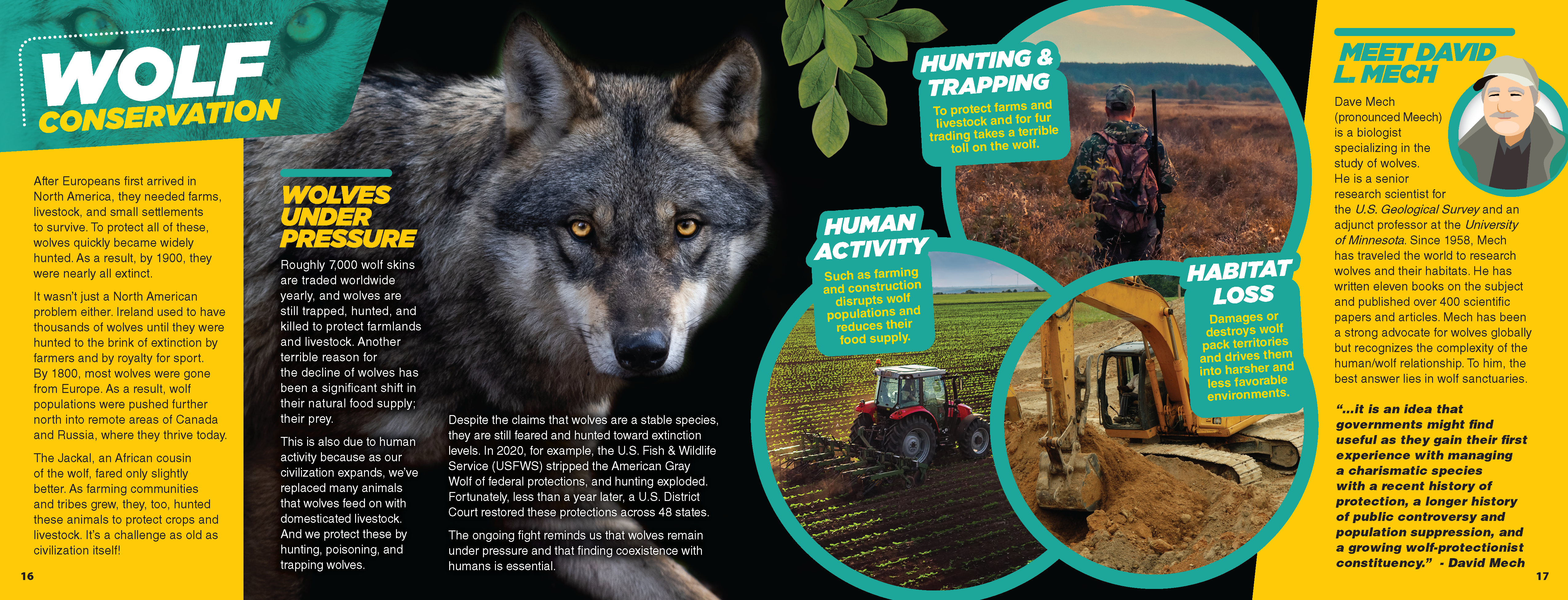 The Kids Guide to Animals - The Wolf